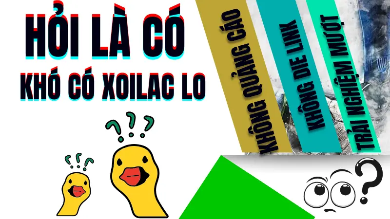 Câu hỏi thường gặp khi xem bóng đá trực tiếp trên XoilacTV – giải đáp chi tiết cho người dùng mới