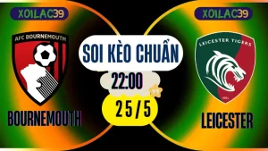 Soi kèo Bournemouth vs Leicester hôm nay – ảnh minh họa